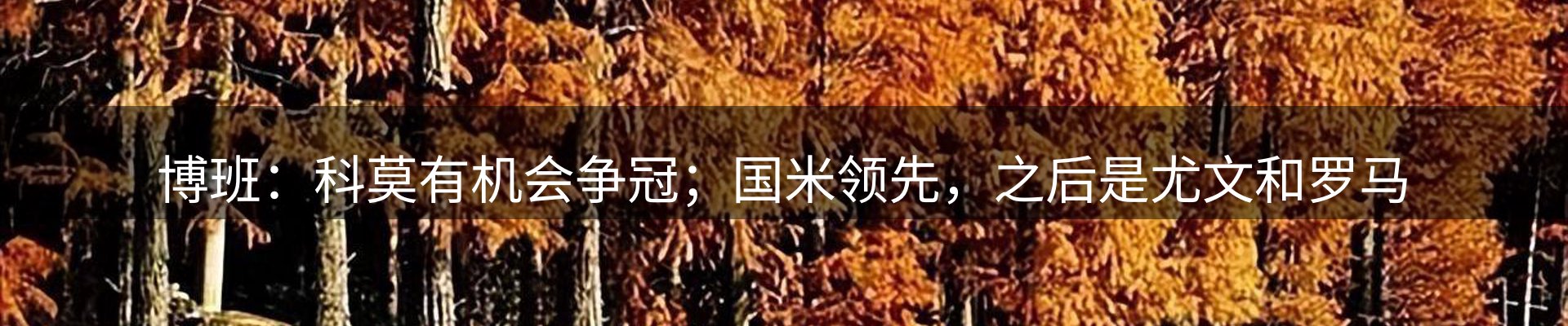 资讯内容