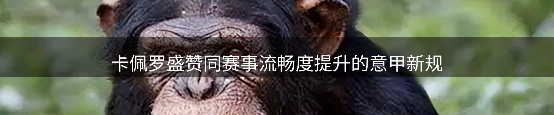 资讯内容